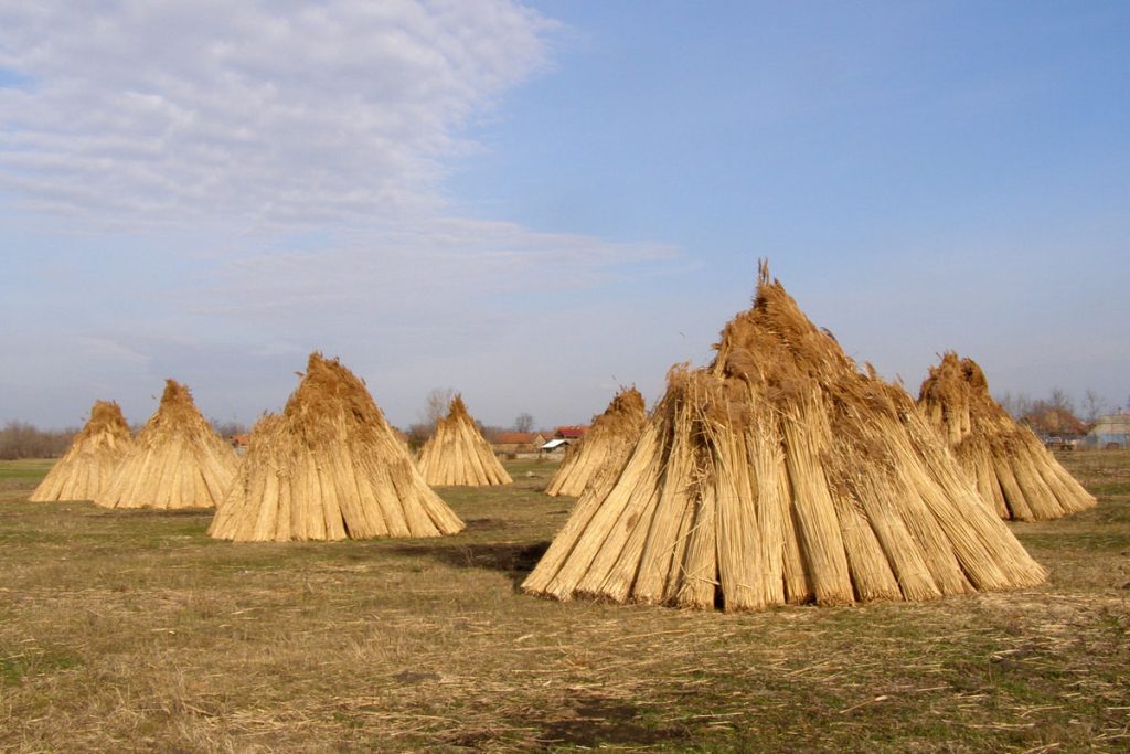 Grad multikulturalnosti 2
