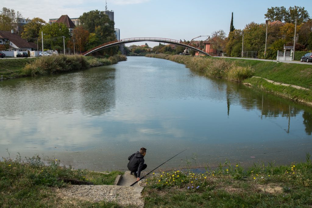 IMG 0812